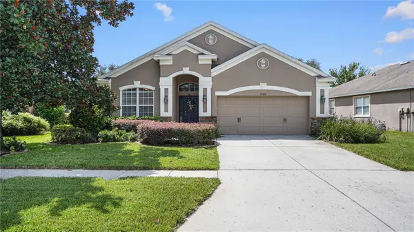 19420 SUNSET BAY DR, Land O Lakes, FL 34638