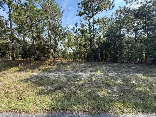 9339 N MILAM WAY, Citrus Springs, FL 34434