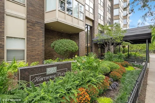 525 W Hawthorne PL #2407, Chicago, IL 60657