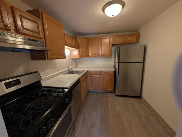 1460 FAIRLANE DR #202, Schaumburg, IL 60193