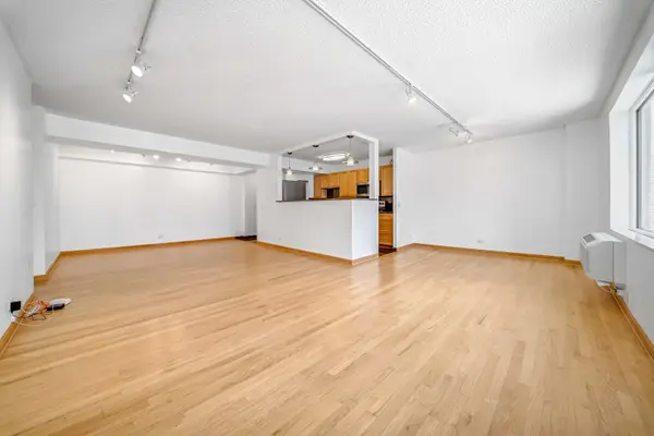 801 S Plymouth CT #701, Chicago, IL 60605