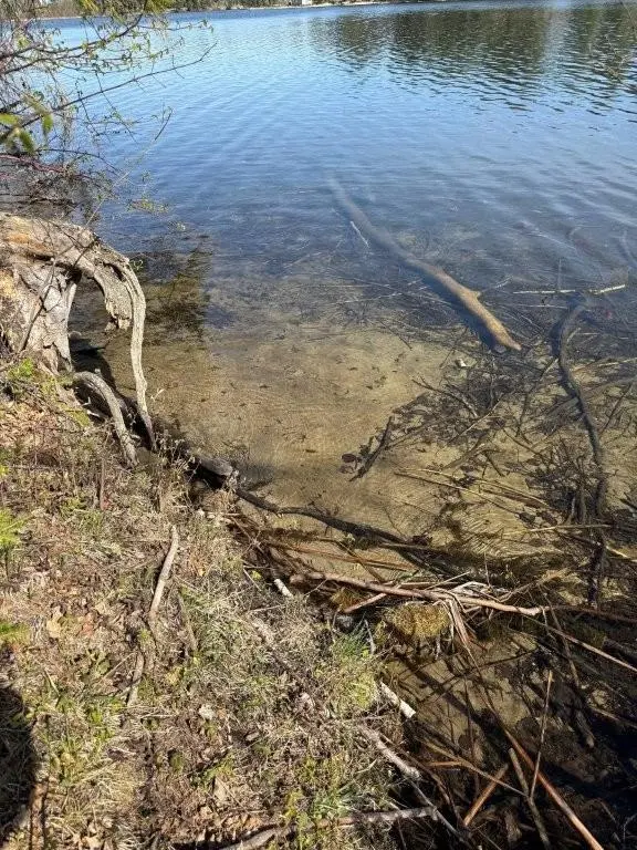 000 Power Dam RD NE, Bemidji, MN 56601