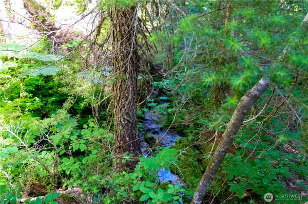 34115 Stevens RD, Leavenworth, WA 98826