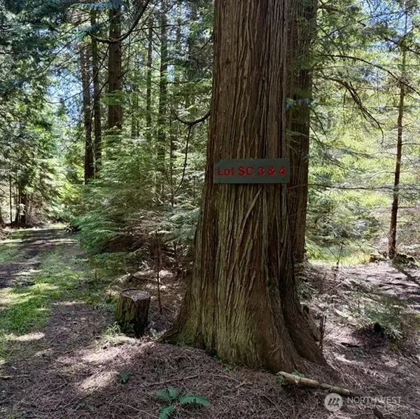 3 Lot Fauntleroy Point Dr, Decatur Island, WA 98221
