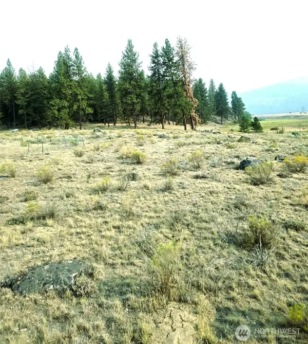 41 TBD Main Rd, Tonasket, WA 98855