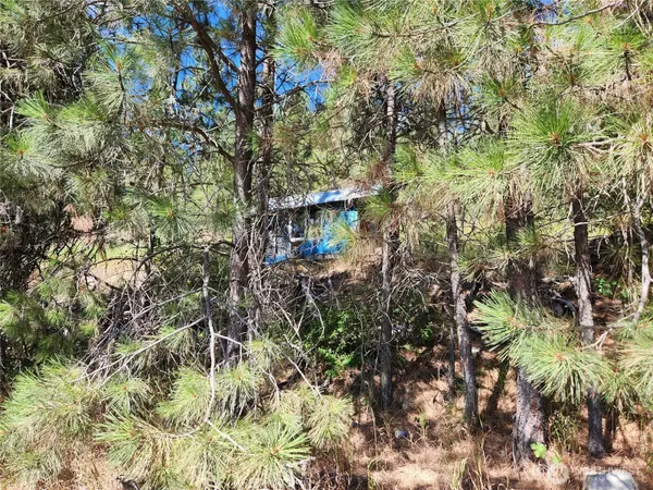 0 Lot 1 Klondike RD, Republic, WA 99166
