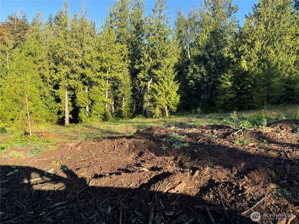 0 N Pass RD, Everson, WA 98295