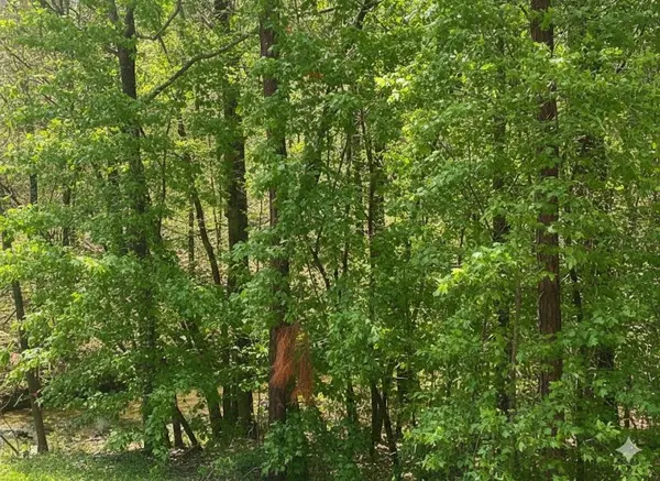 162 Top Notch LN, Broken Bow, OK 74728