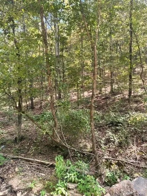 158 WESTERN MAPLE TRL, Broken Bow, OK 74728