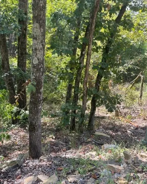 132 Western CEDAR TRL, Broken Bow, OK 74728