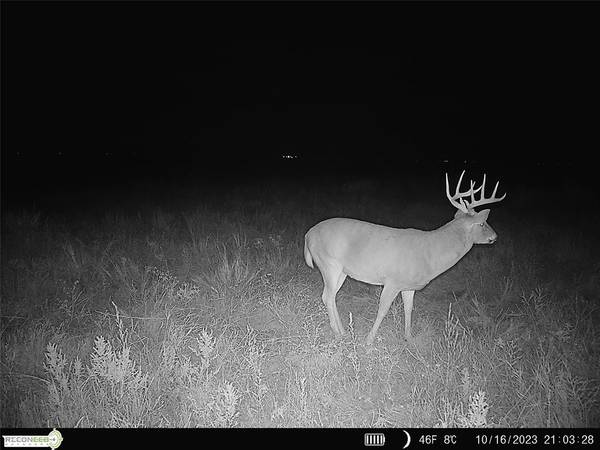 Mile 51 RD, Hooker, OK 73945