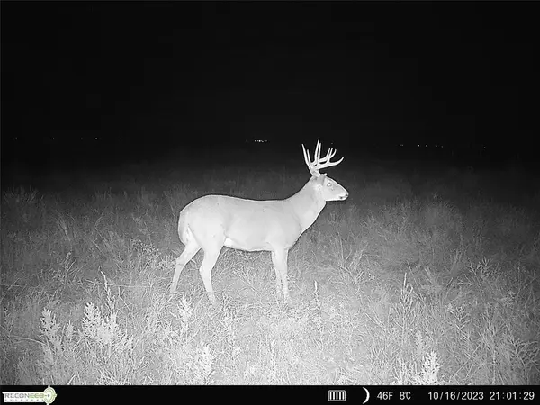 Mile 51 RD, Hooker, OK 73945