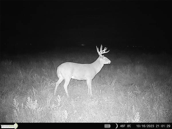 Mile 51 RD, Hooker, OK 73945
