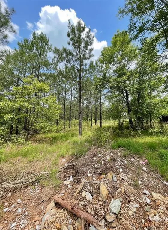 670 Timber Creek Trails South XI, Broken Bow, OK 74728