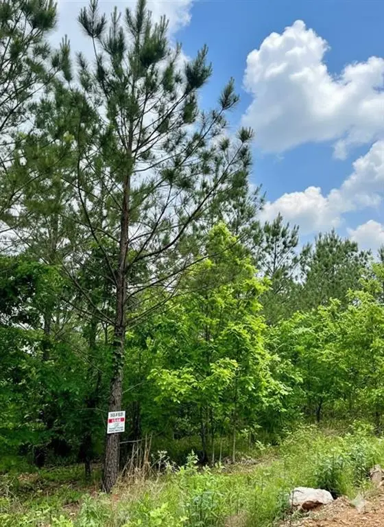 658 Timber Creek Trails South XI, Broken Bow, OK 74728