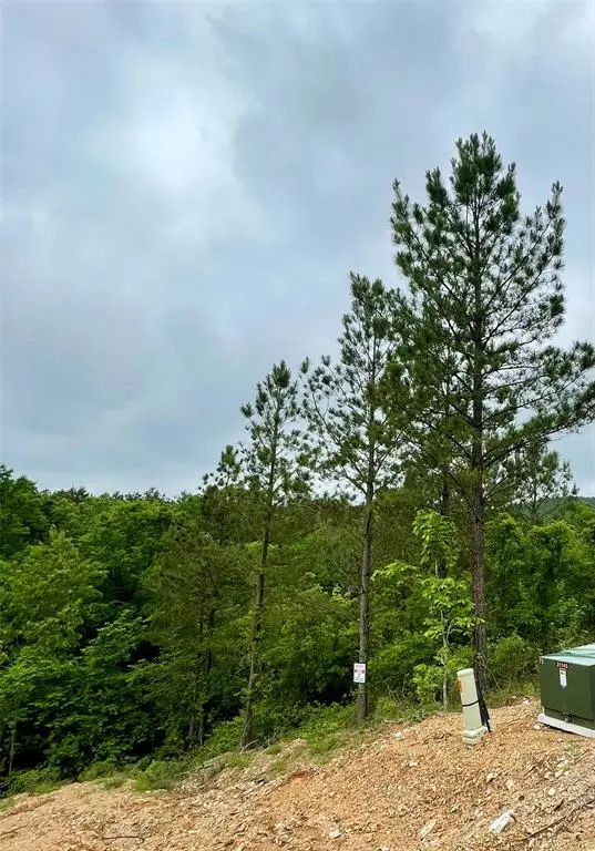 673 Timber Creek Trails South XI, Broken Bow, OK 74728