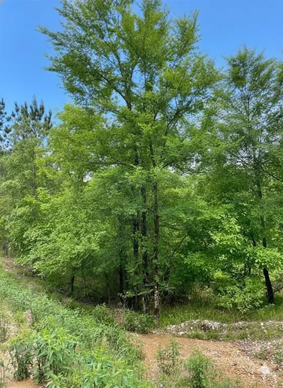 662 Timber Creek Trails South XI, Broken Bow, OK 74728