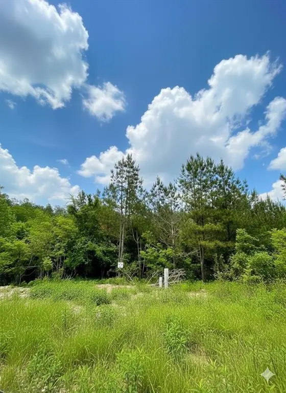 664 Timber Creek Trails South XI, Broken Bow, OK 74728