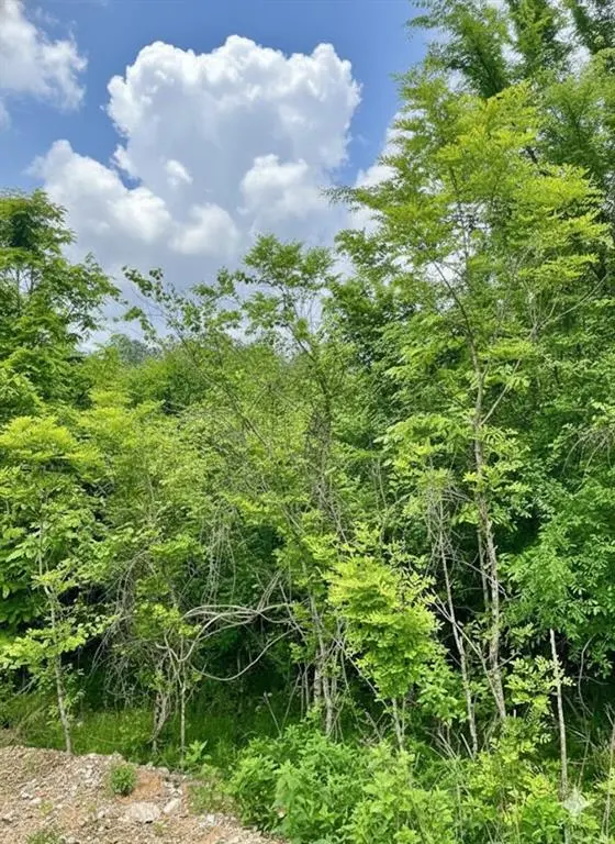 664 Timber Creek Trails South XI, Broken Bow, OK 74728