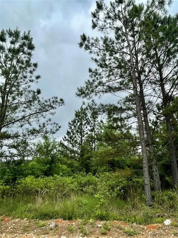 672 Timber Creek Trails South XI, Broken Bow, OK 74728