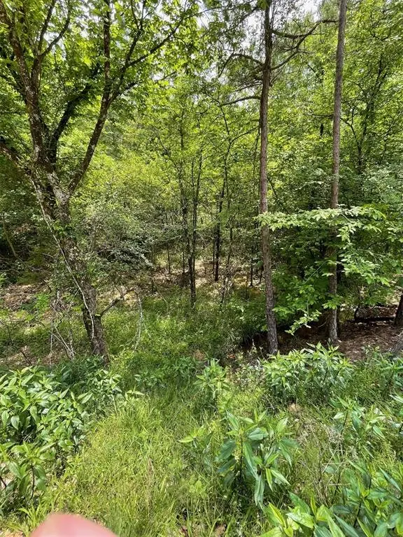 675 Timber Creek Trails South XI, Broken Bow, OK 74728