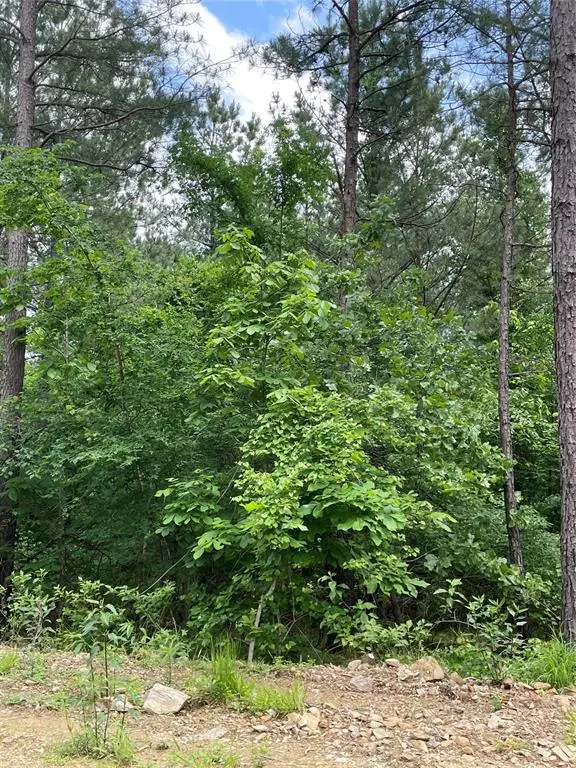 690 Timber Creek Trails South XI, Broken Bow, OK 74728