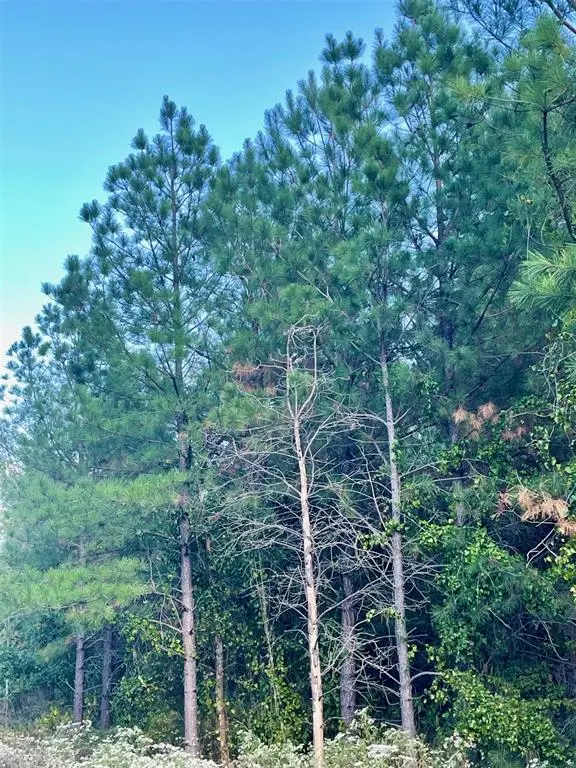 693 Timber Creek Trails South XI, Broken Bow, OK 74728