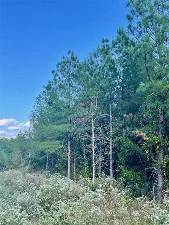693 Timber Creek Trails South XI, Broken Bow, OK 74728