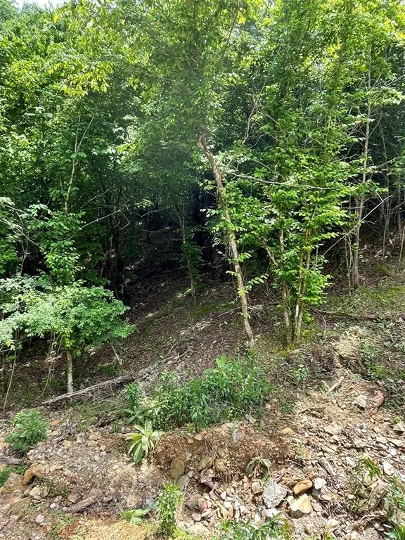 694 Timber Creek Trails South XI, Broken Bow, OK 74728