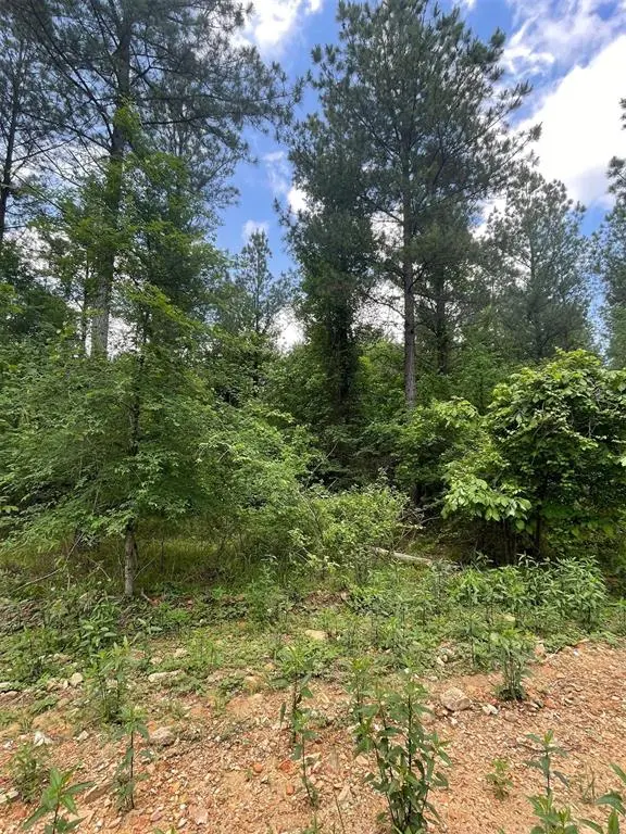 702 Timber Creek Trails South XI, Broken Bow, OK 74728
