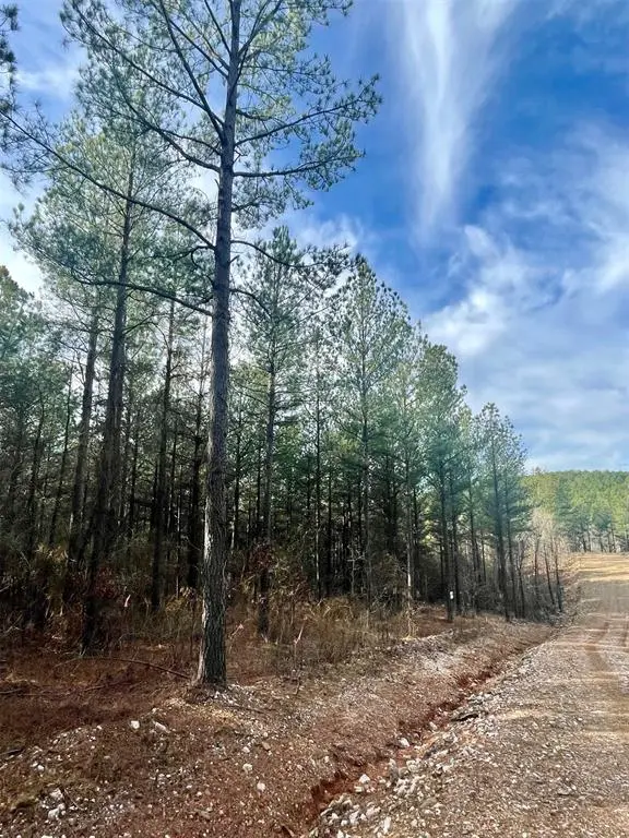 710 Timber Creek Trails South XI, Broken Bow, OK 74728