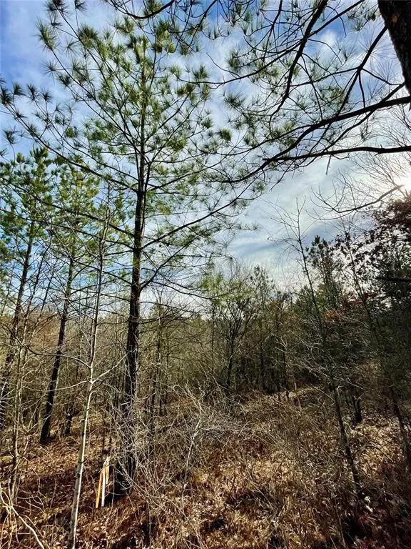 723 Timber Creek Trails South XI, Broken Bow, OK 74728