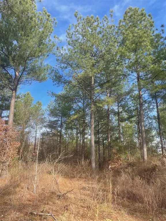 730 Timber Creek Trails South XI, Broken Bow, OK 74728