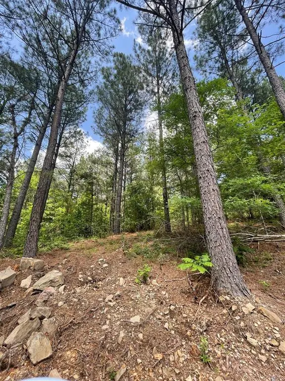 735 Timber Creek Trails South XI, Broken Bow, OK 74728