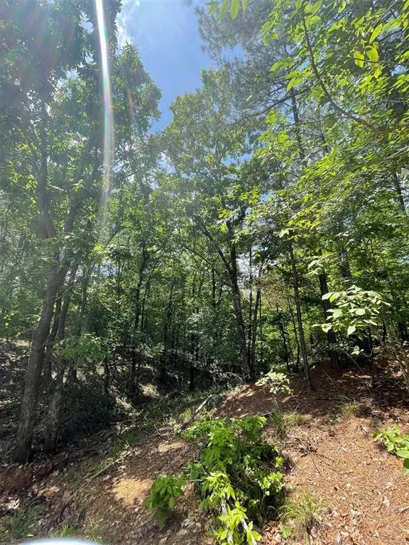 736 Timber Creek Trails South XI, Broken Bow, OK 74728