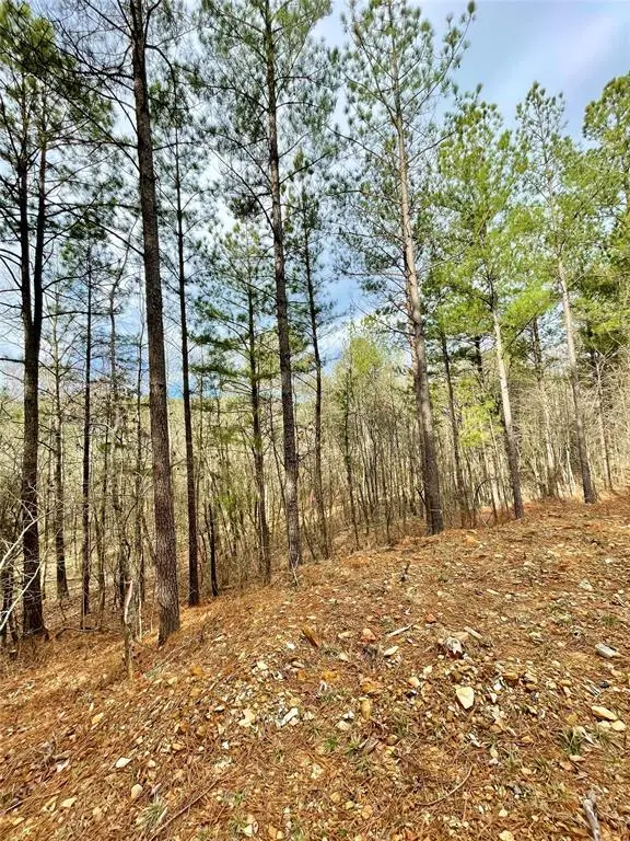 737 Timber Creek Trails South XI, Broken Bow, OK 74728