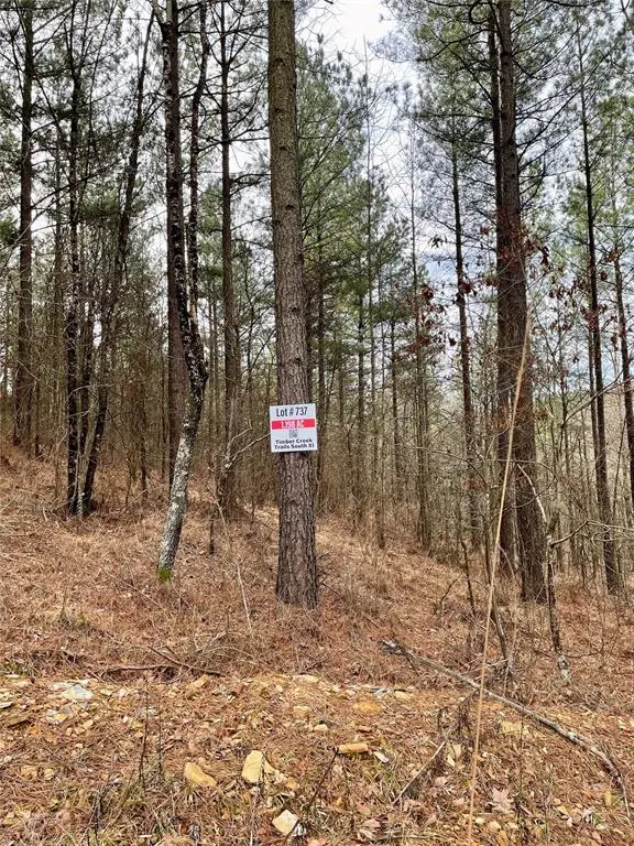 737 Timber Creek Trails South XI, Broken Bow, OK 74728