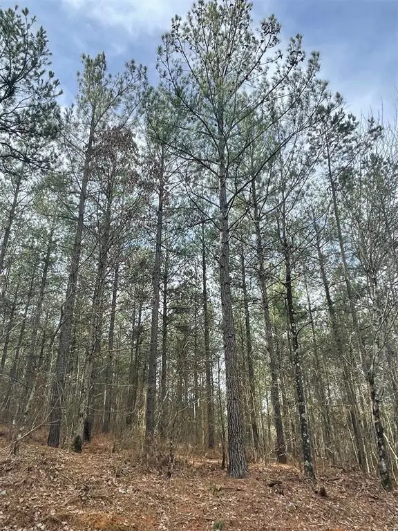 739 Timber Creek Trails South XI, Broken Bow, OK 74728