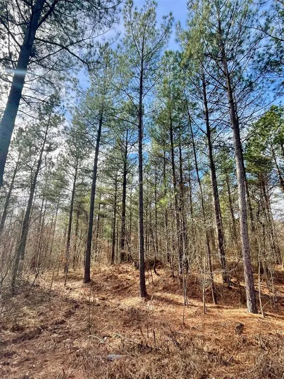 742 Timber Creek Trails South XI, Broken Bow, OK 74728