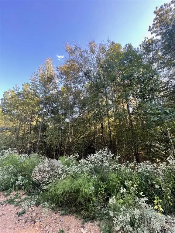 745 Timber Creek Trails South XI, Broken Bow, OK 74728