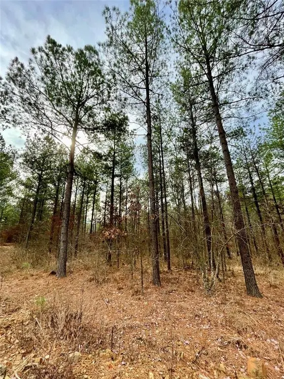 746 Timber Creek Trails South XI, Broken Bow, OK 74728