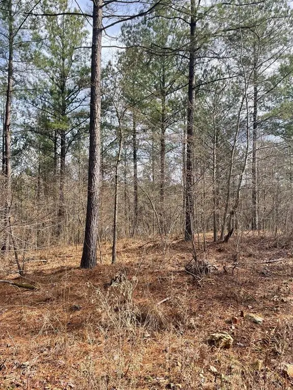 752 Timber Creek Trails South XI, Broken Bow, OK 74728