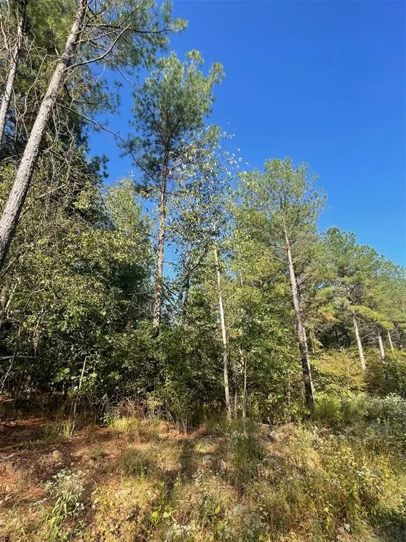 753 Timber Creek Trails South XI, Broken Bow, OK 74728