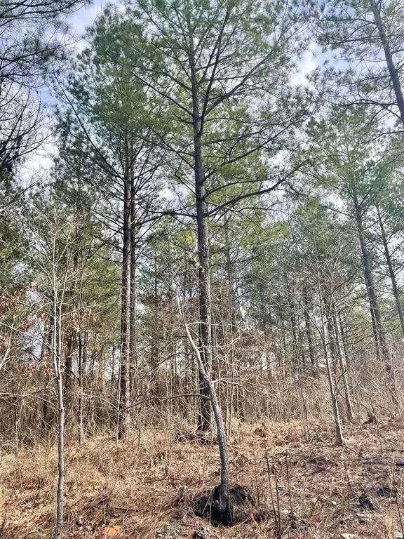 754 Timber Creek Trails South XI, Broken Bow, OK 74728
