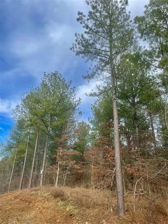 756 Timber Creek Trails South XI, Broken Bow, OK 74728