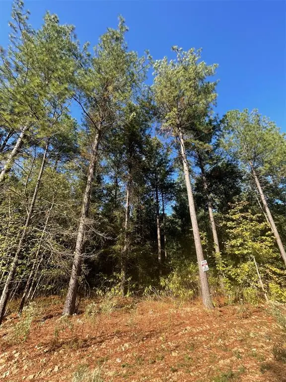 758 Timber Creek Trails South XI, Broken Bow, OK 74728