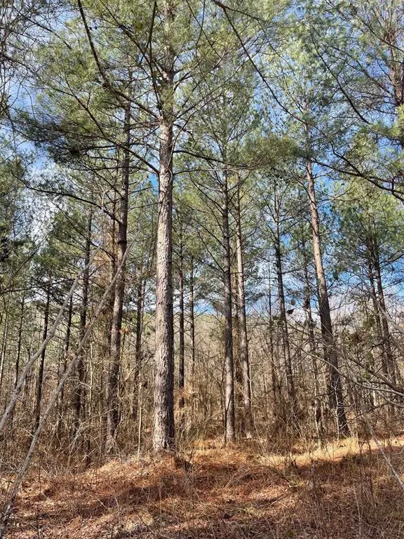 763 Timber Creek Trails South XI, Broken Bow, OK 74728