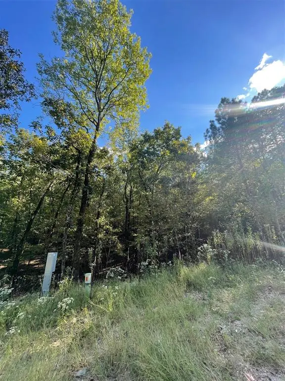 767 Timber Creek Trails South XI, Broken Bow, OK 74728