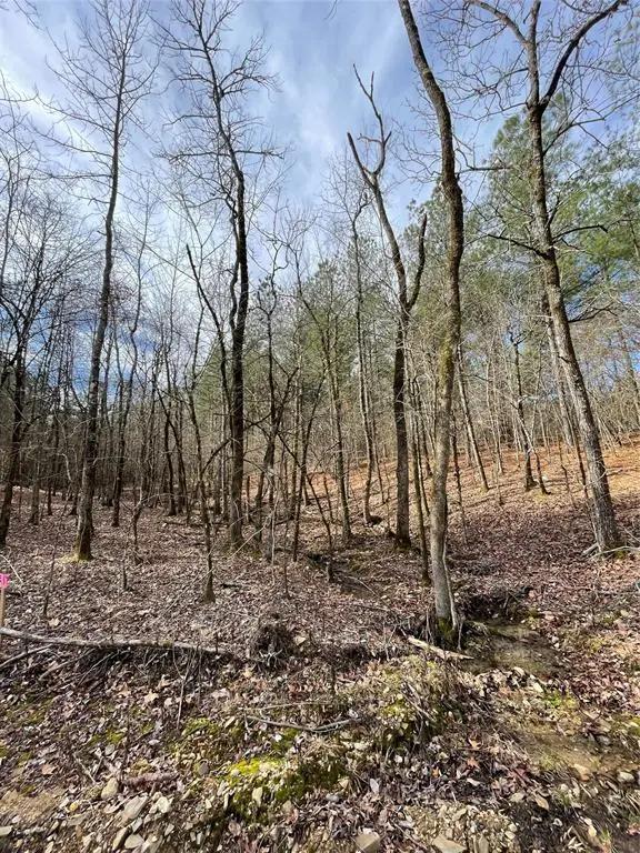 768 Timber Creek Trails South XI, Broken Bow, OK 74728