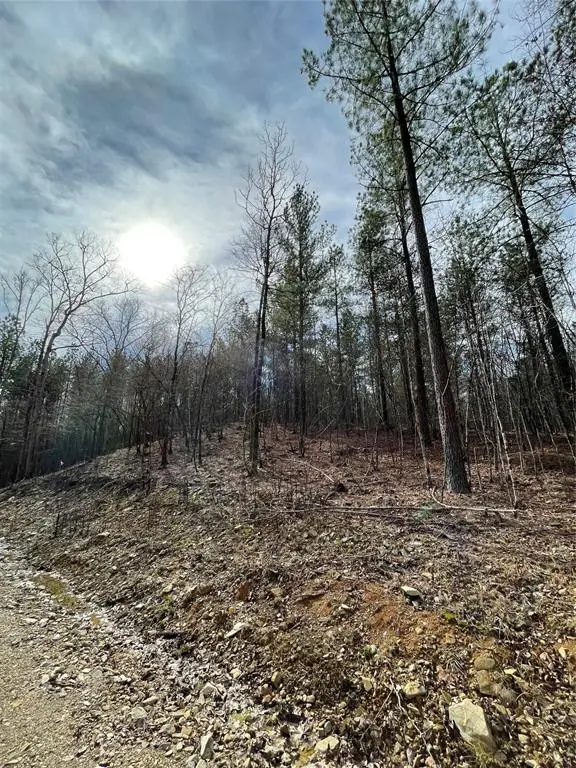 768 Timber Creek Trails South XI, Broken Bow, OK 74728